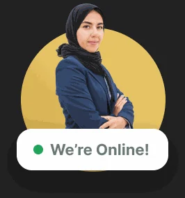 Visa expert available online