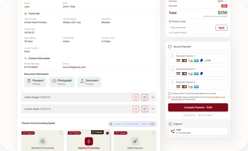 Checkout page showing visa fee summary and secure online payment options